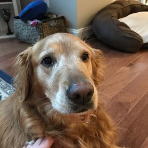 Meet your Posher, Marie